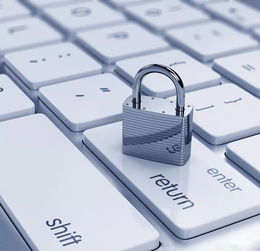 給網(wǎng)絡(luò)失信戴上緊箍咒是民心所向