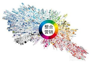 探索互聯(lián)網(wǎng)時(shí)代的主流營(yíng)銷與銷售模式