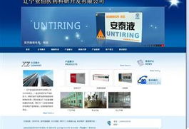 易勢 沈陽網(wǎng)站制作、網(wǎng)站建設(shè)與網(wǎng)站設(shè)計的專業(yè)引領(lǐng)者